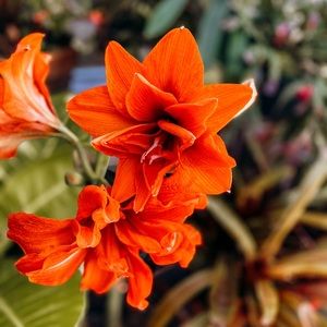 Meet your Posher, Steph